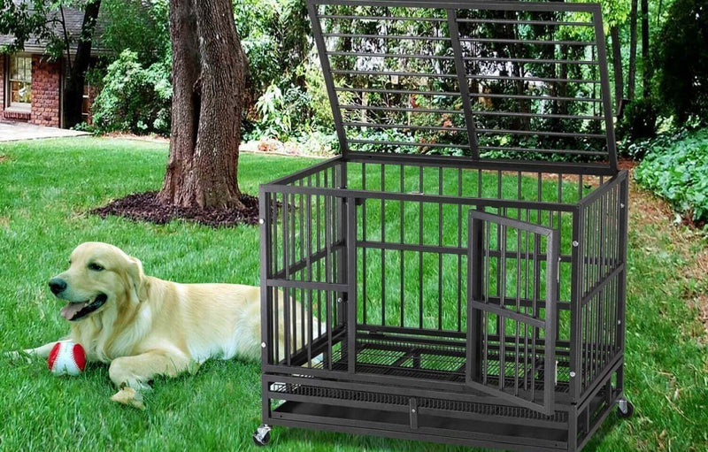 How to Set up Your Dog Cage