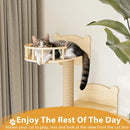 Waleaf 16 Piece Cat Wall Shelves for Indoor cats,Wall Mounted Cat Climber Set with House,Tunnel,Bridge,Steps,Scratcher,Bed