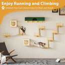 Waleaf 16 Piece Cat Wall Shelves for Indoor cats,Wall Mounted Cat Climber Set with House,Tunnel,Bridge,Steps,Scratcher,Bed