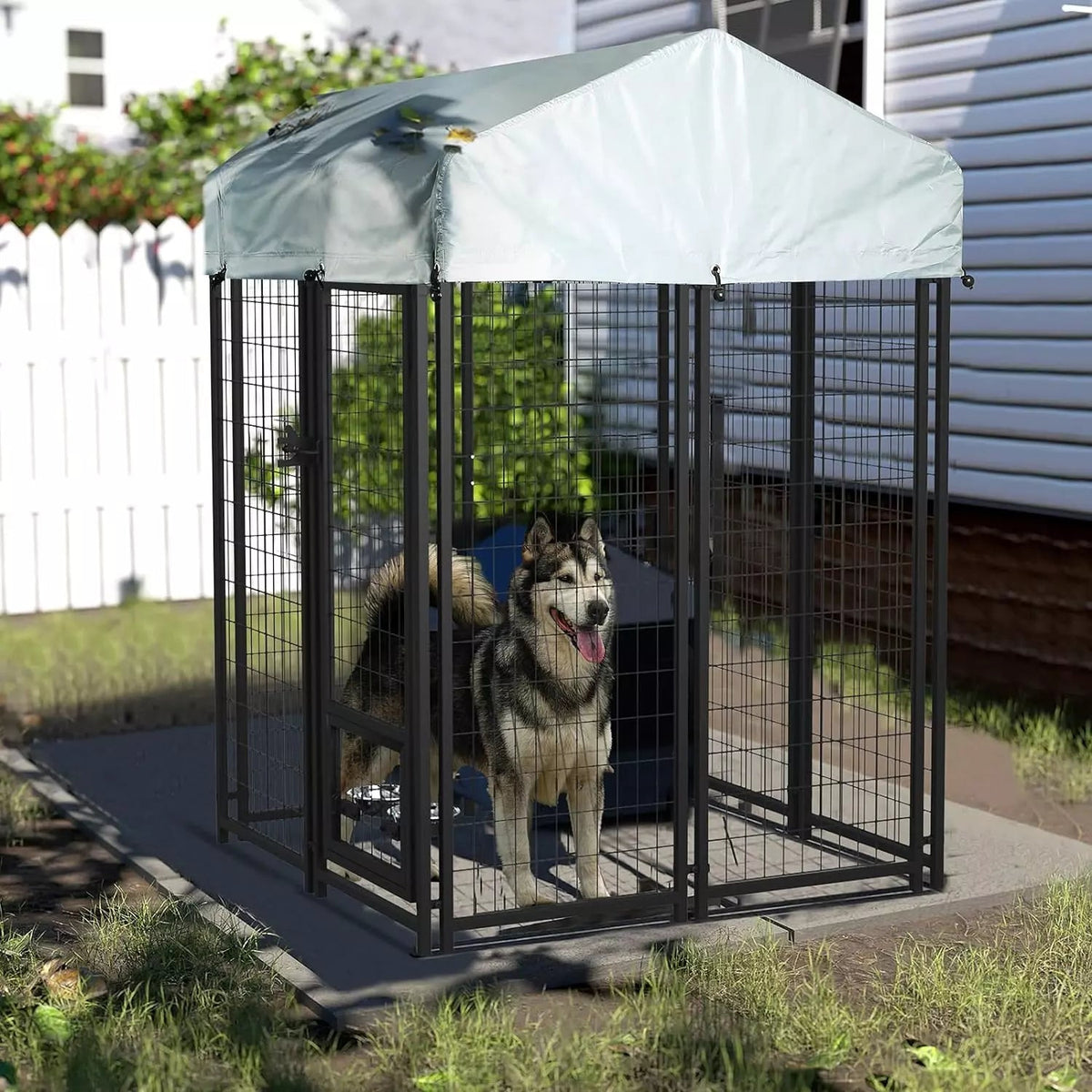 LEMBERI 8x4x6 FT Outdoor Dog Kennel for Large Dogs PLB02