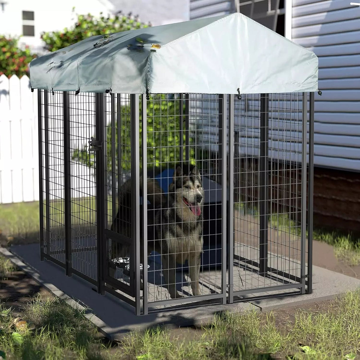 LEMBERI 8x4x6 FT Outdoor Dog Kennel for Large Dogs PLB02